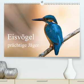 Eisvögel – prächtige Jäger (Premium, hochwertiger DIN A2 Wandkalender 2020, Kunstdruck in Hochglanz) von Alberer,  Thomas