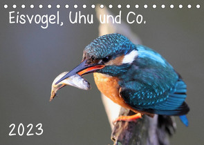 Eisvogel, Uhu und Co. (Tischkalender 2023 DIN A5 quer) von Allnoch,  Jan