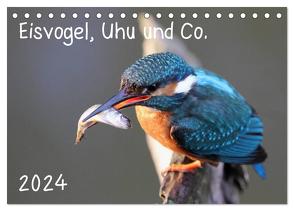 Eisvogel, Uhu und Co. (Tischkalender 2024 DIN A5 quer), CALVENDO Monatskalender von Allnoch,  Jan