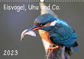 Eisvogel, Uhu und Co. (Wandkalender 2023 DIN A3 quer) von Allnoch,  Jan