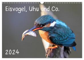 Eisvogel, Uhu und Co. (Wandkalender 2024 DIN A3 quer), CALVENDO Monatskalender von Allnoch,  Jan