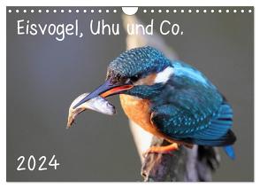 Eisvogel, Uhu und Co. (Wandkalender 2024 DIN A4 quer), CALVENDO Monatskalender von Allnoch,  Jan