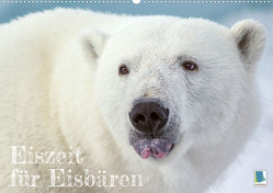 Eiszeit für Eisbären (Wandkalender 2023 DIN A2 quer) von CALVENDO