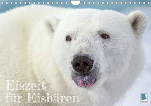 Eiszeit für Eisbären (Wandkalender 2023 DIN A4 quer) von CALVENDO