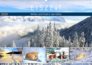 Eiszeit. Winter und Frost in der Natur (Wandkalender 2020 DIN A2 quer) von Hurley,  Rose