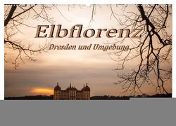 Elbflorenz – Dresden und Umgebung (Wandkalender 2024 DIN A2 quer), CALVENDO Monatskalender von Zinoviev,  Sergej
