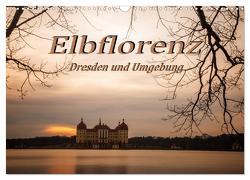 Elbflorenz – Dresden und Umgebung (Wandkalender 2024 DIN A3 quer), CALVENDO Monatskalender von Zinoviev,  Sergej
