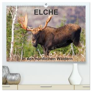 ELCHE In den nördlichen Wäldern (hochwertiger Premium Wandkalender 2024 DIN A2 quer), Kunstdruck in Hochglanz von Henry,  Philippe