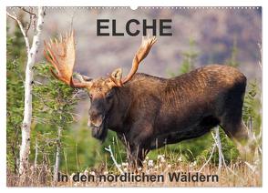 ELCHE In den nördlichen Wäldern (Wandkalender 2024 DIN A2 quer), CALVENDO Monatskalender von Henry,  Philippe