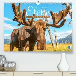 Elche: Nordische Riesen (Premium, hochwertiger DIN A2 Wandkalender 2023, Kunstdruck in Hochglanz) von CALVENDO
