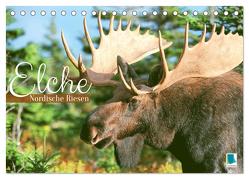 Elche: Nordische Riesen (Tischkalender 2024 DIN A5 quer), CALVENDO Monatskalender von CALVENDO,  CALVENDO