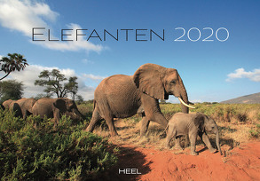 Elefanten 2020