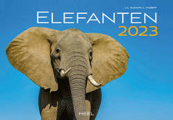 Elefanten 2023 von Hubert,  M.-L., Klein,  J. L.
