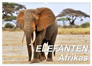 Elefanten Afrikas (Wandkalender 2024 DIN A3 quer), CALVENDO Monatskalender von Feuerer,  Jürgen