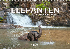 Elefanten – Baden, Planschen, Rüsseln (Wandkalender 2024 DIN A3 quer), CALVENDO Monatskalender von Weigt,  Mario