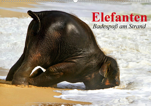 Elefanten. Badespaß am Strand (Wandkalender 2021 DIN A2 quer) von Stanzer,  Elisabeth