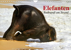 Elefanten. Badespaß am Strand (Wandkalender 2023 DIN A4 quer) von Stanzer,  Elisabeth