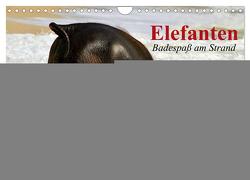 Elefanten. Badespaß am Strand (Wandkalender 2024 DIN A4 quer), CALVENDO Monatskalender von Stanzer,  Elisabeth
