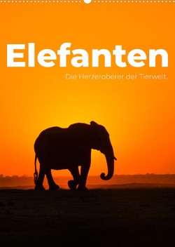 Elefanten – Die Herzeroberer der Tierwelt. (Wandkalender 2023 DIN A2 hoch) von SF