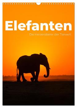 Elefanten – Die Herzeroberer der Tierwelt. (Wandkalender 2024 DIN A3 hoch), CALVENDO Monatskalender von SF,  SF