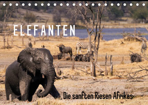 Elefanten – Die sanften Riesen Afrikas (Tischkalender 2023 DIN A5 quer) von Pavlowsky Photography,  Markus