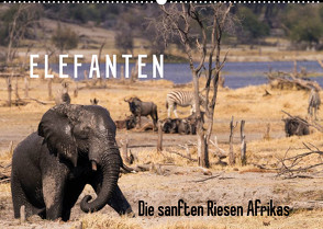Elefanten – Die sanften Riesen Afrikas (Wandkalender 2023 DIN A2 quer) von Pavlowsky Photography,  Markus