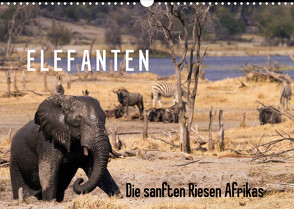 Elefanten – Die sanften Riesen Afrikas (Wandkalender 2023 DIN A3 quer) von Pavlowsky Photography,  Markus