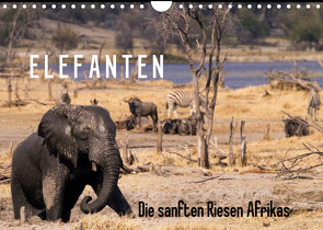 Elefanten – Die sanften Riesen Afrikas (Wandkalender 2023 DIN A4 quer) von Pavlowsky Photography,  Markus