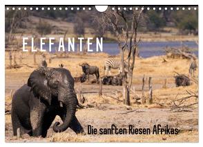 Elefanten – Die sanften Riesen Afrikas (Wandkalender 2024 DIN A4 quer), CALVENDO Monatskalender von Pavlowsky Photography,  Markus