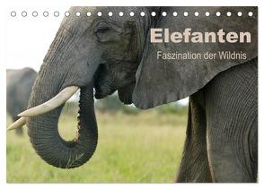 Elefanten – Faszination der Wildnis (Tischkalender 2024 DIN A5 quer), CALVENDO Monatskalender von Haase,  Nadine