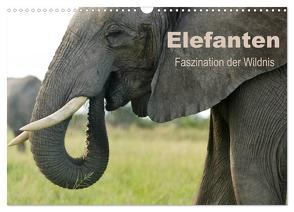 Elefanten – Faszination der Wildnis (Wandkalender 2024 DIN A3 quer), CALVENDO Monatskalender von Haase,  Nadine