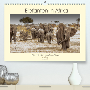 Elefanten in Afrika – Die mit den großen Ohren (Premium, hochwertiger DIN A2 Wandkalender 2022, Kunstdruck in Hochglanz) von Bethke,  Barbara