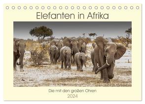 Elefanten in Afrika – Die mit den großen Ohren (Tischkalender 2024 DIN A5 quer), CALVENDO Monatskalender von Bethke,  Barbara