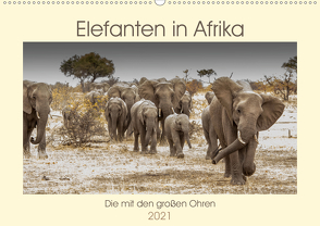 Elefanten in Afrika – Die mit den großen Ohren (Wandkalender 2021 DIN A2 quer) von Bethke,  Barbara