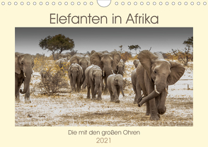 Elefanten in Afrika – Die mit den großen Ohren (Wandkalender 2021 DIN A4 quer) von Bethke,  Barbara