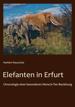 Elefanten in Erfurt von Neuschulz,  Norbert