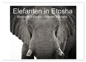 Elefanten in Etosha (Wandkalender 2024 DIN A2 quer), CALVENDO Monatskalender von van der Wiel,  Irma