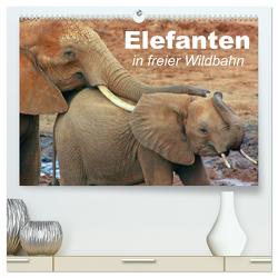 Elefanten in freier Wildbahn (hochwertiger Premium Wandkalender 2024 DIN A2 quer), Kunstdruck in Hochglanz von Stanzer,  Elisabeth