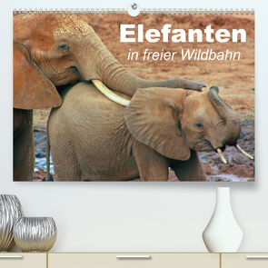 Elefanten in freier Wildbahn (Premium, hochwertiger DIN A2 Wandkalender 2021, Kunstdruck in Hochglanz) von Stanzer,  Elisabeth