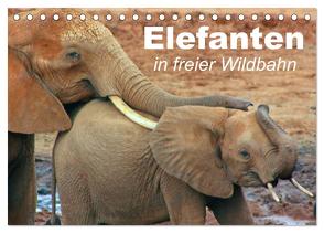 Elefanten in freier Wildbahn (Tischkalender 2024 DIN A5 quer), CALVENDO Monatskalender von Stanzer,  Elisabeth
