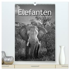 Elefanten in schwarz-weiss (hochwertiger Premium Wandkalender 2024 DIN A2 hoch), Kunstdruck in Hochglanz von Styppa,  Robert