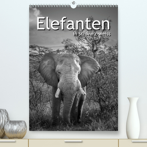 Elefanten in schwarz-weiss (Premium, hochwertiger DIN A2 Wandkalender 2021, Kunstdruck in Hochglanz) von Styppa,  Robert