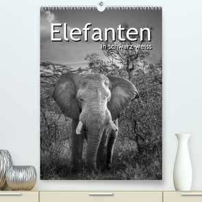 Elefanten in schwarz-weiss (Premium, hochwertiger DIN A2 Wandkalender 2023, Kunstdruck in Hochglanz) von Styppa,  Robert