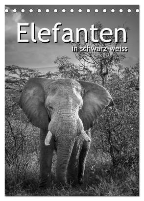 Elefanten in schwarz-weiss (Tischkalender 2024 DIN A5 hoch), CALVENDO Monatskalender von Styppa,  Robert