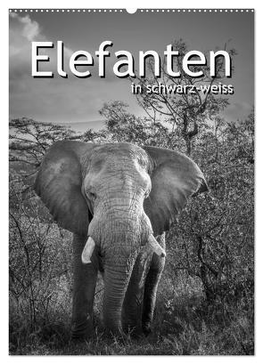 Elefanten in schwarz-weiss (Wandkalender 2024 DIN A2 hoch), CALVENDO Monatskalender von Styppa,  Robert