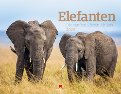 Elefanten Kalender 2023