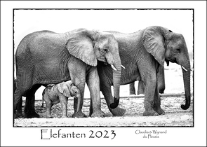 ELEFANTEN – Kalender 2023 von du Plessis,  Claudia, Du Plessis,  Wynand