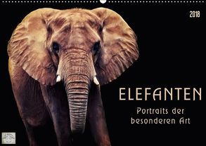 Elefanten – Portraits der besonderen Art (Wandkalender 2018 DIN A2 quer) von DESIGN Photo + PhotoArt,  AD, Dölling,  Angela
