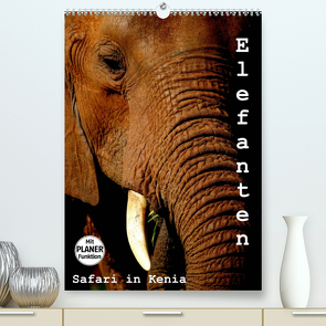 Elefanten. Safari in Kenia (Premium, hochwertiger DIN A2 Wandkalender 2023, Kunstdruck in Hochglanz) von Michel / CH,  Susan