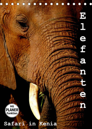 Elefanten. Safari in Kenia (Tischkalender 2023 DIN A5 hoch) von Michel / CH,  Susan